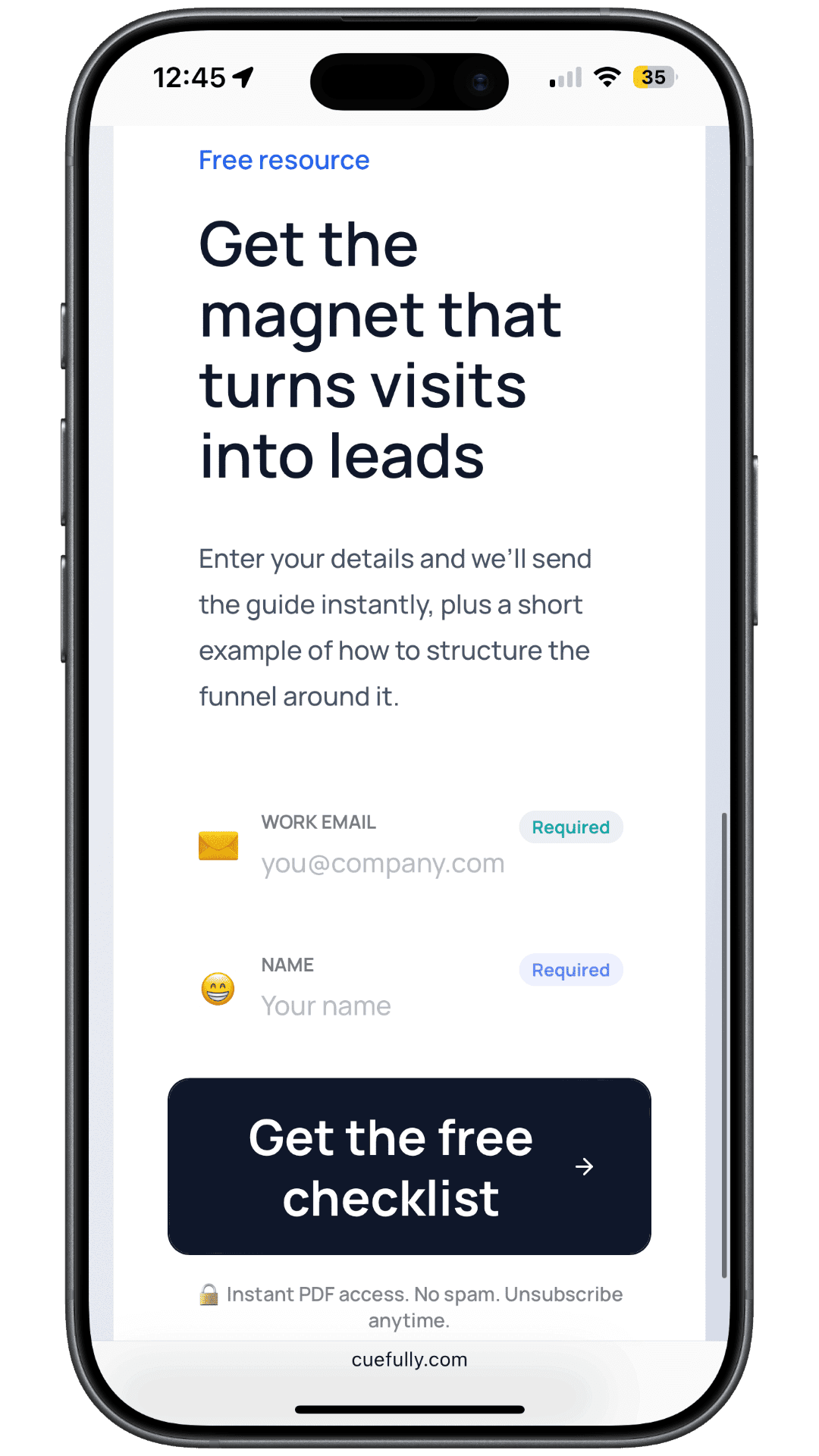 The capture step of the live funnel: "Get the magnet that turns visits into leads", with a work email field, a name field, a "Get the free checklist" button and a note promising instant PDF access
